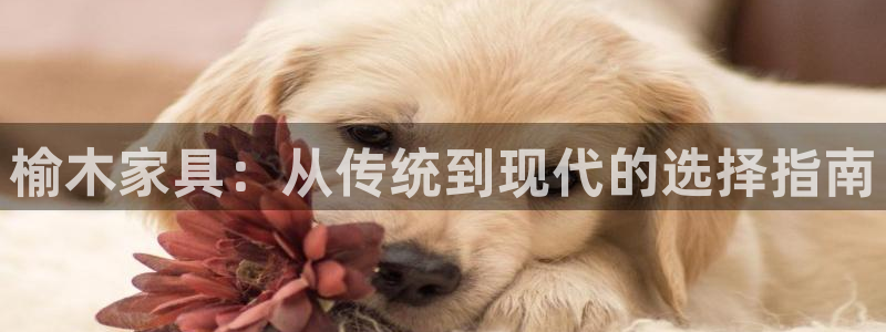 安信12周年