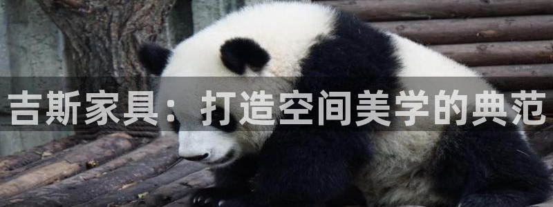 安信安盈12最新消息