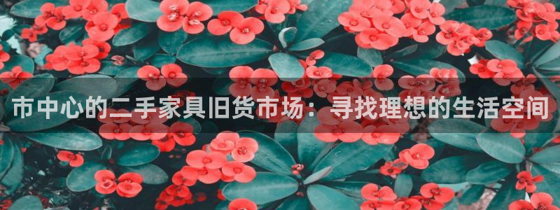 安信安翼 12账号