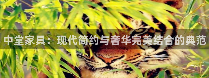 安信12月金股