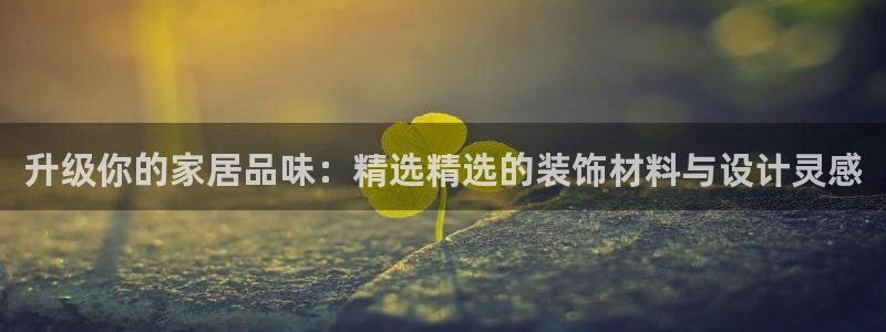 安信12周年庆