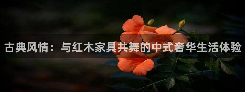 安信122853179Z空间