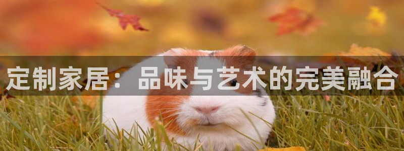 安信12想开户