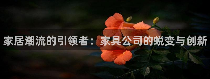 安信可12f12e