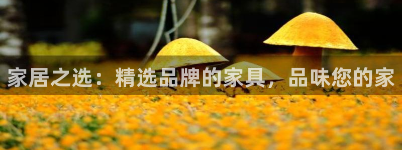 安信12平台注册