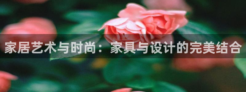 安信安翼 12账号