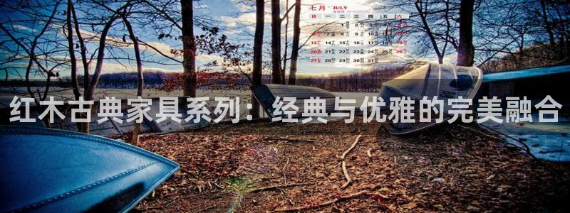 安信12是正规还是仿