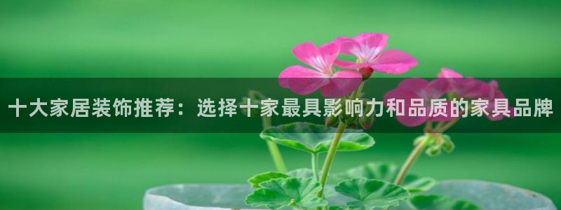 安信证券手机壳12