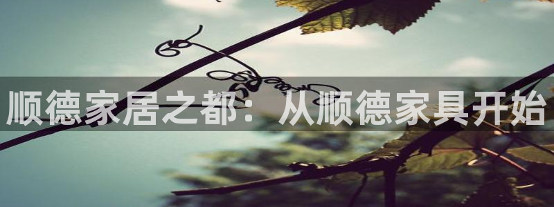 安信12网站
