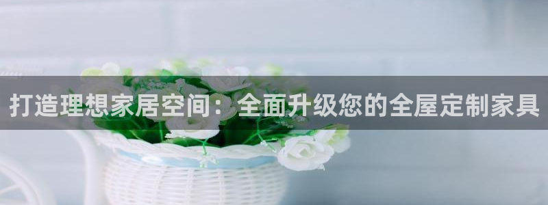 安信12是啥
