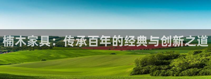 安信12主管