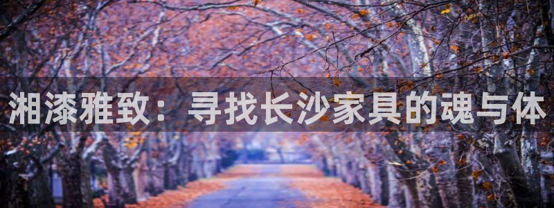 安信12娱乐注册