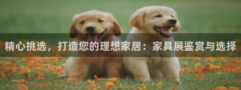 安信12平台