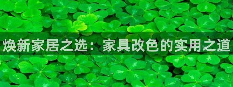 安信12周年