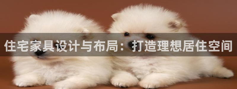 安信12是什么