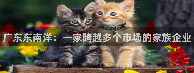 安信12彩票