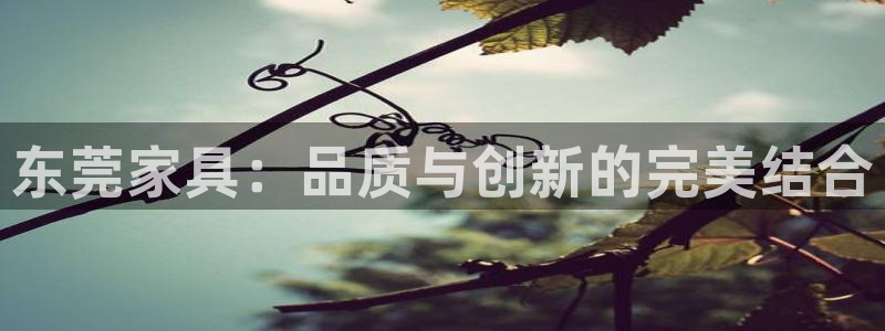 安信12负责人