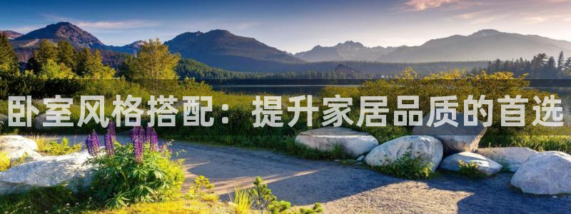 安信esp12