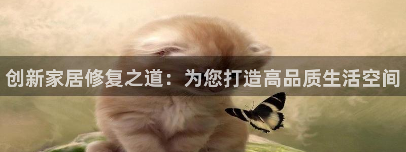 安信12级大众