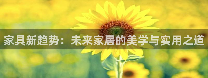 安信12娱乐