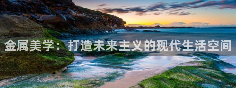 安信安赢12号