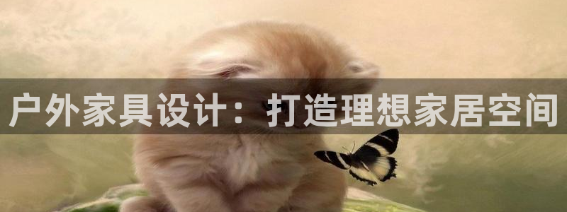 安信12平台介绍