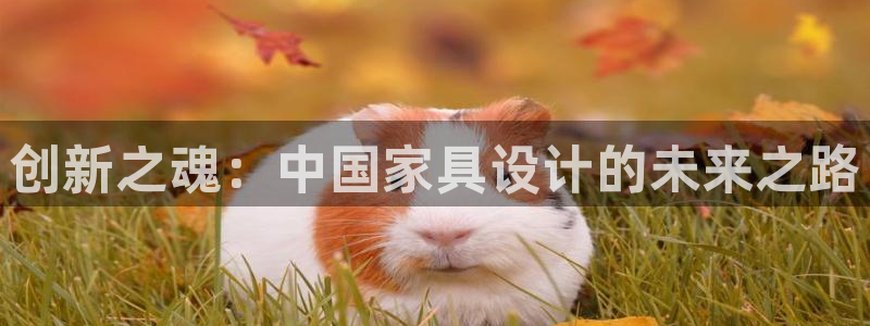 下载安信12