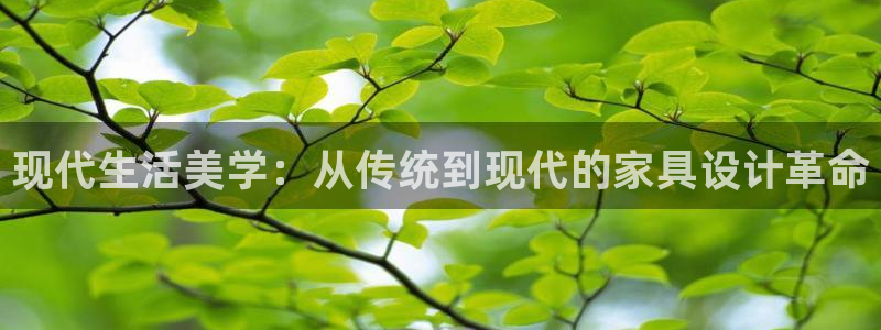安信可12f12e：现代生活美学：从传统到现代的家具设计革命