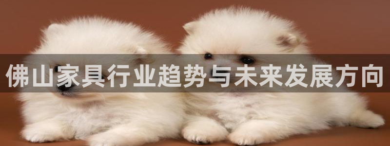 安信4娱乐去55 12
