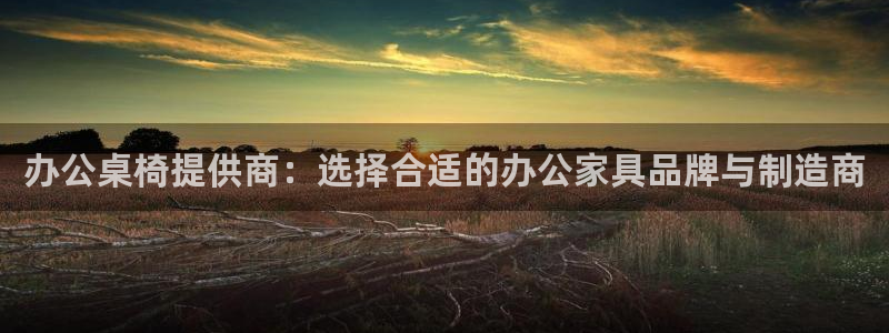 安信可wb12