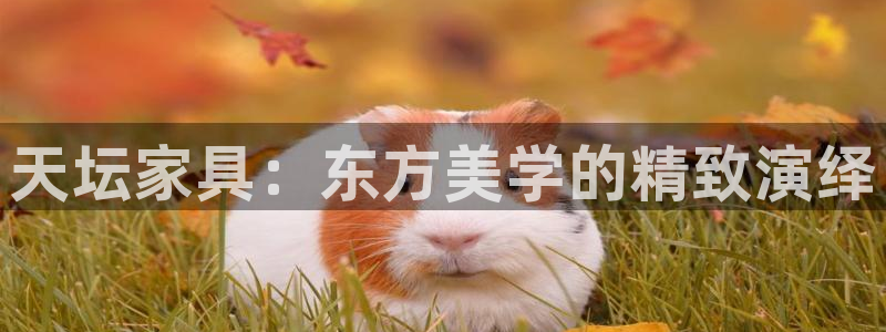 安信12想开户