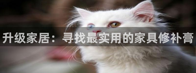 安信12娱乐
