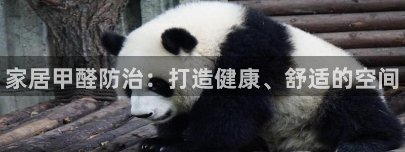 安信安盈12最新消息