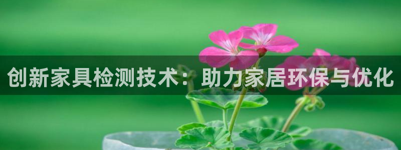 安信122853179Z空间