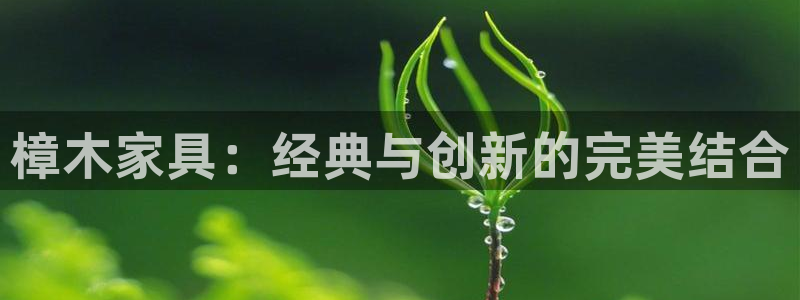 安信12正版下载