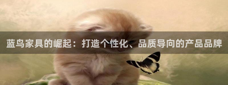 安信娱乐12登录地址