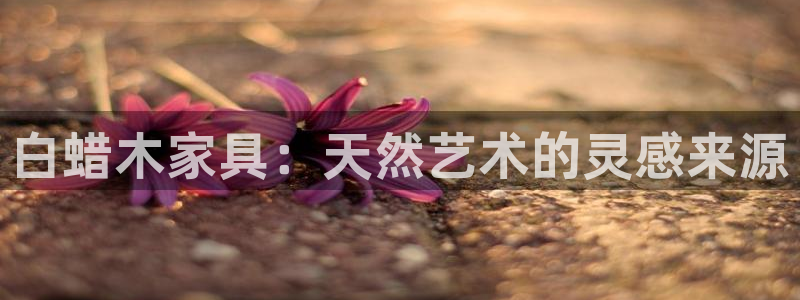 安信12正版下载：白蜡木家具：天然艺术的灵感来源