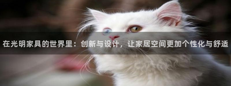 奇安信12流转场