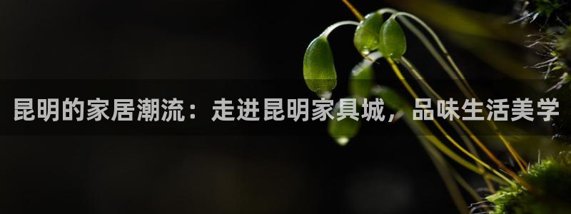 安信12注册登录