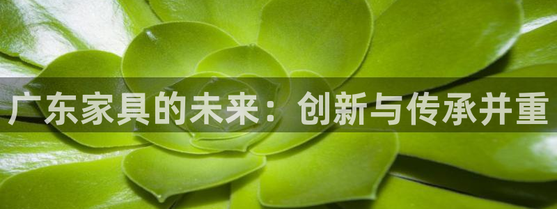 安信锐赢134号12月