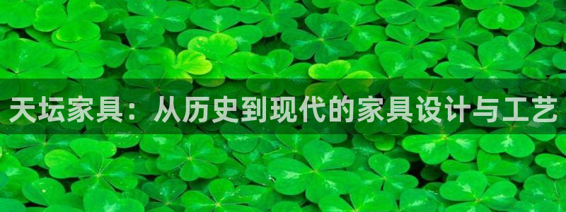 安信证券手机壳12