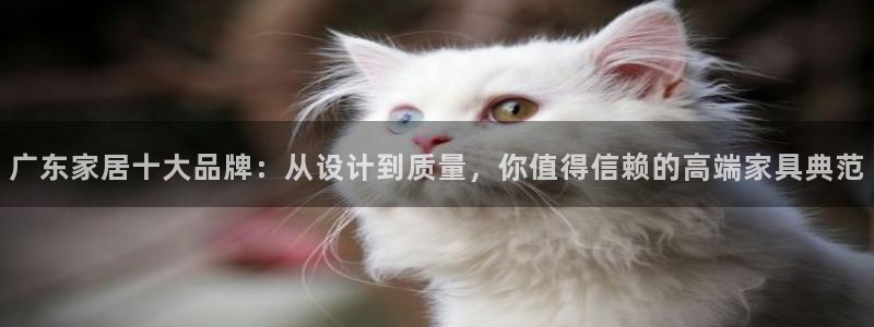 安信12正版下载