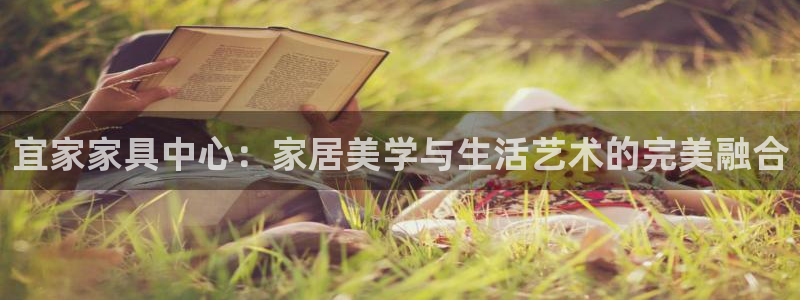 安信12是什么平台：宜家家具中心：家居美学与生活艺术的完美融