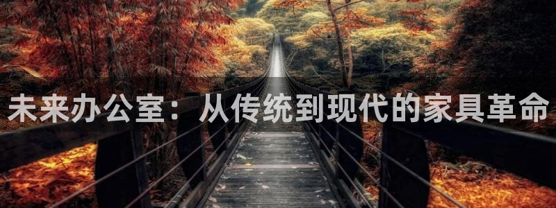 安信12级灯牌：未来办公室：从传统到现代的家具革命