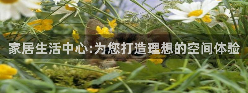 安信122853179Z空间