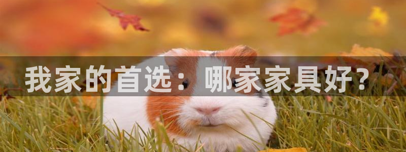 安信12娱乐招商