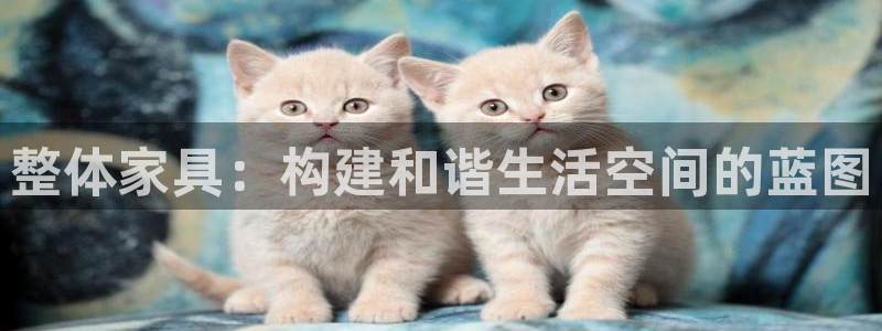 安信12正版下载