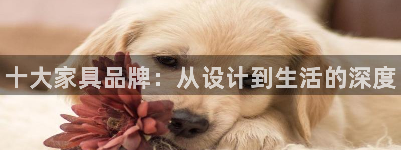 安信12注册登录平台