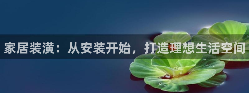 安信12是什么软件