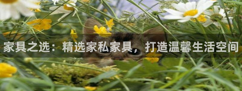 安信12平台官网